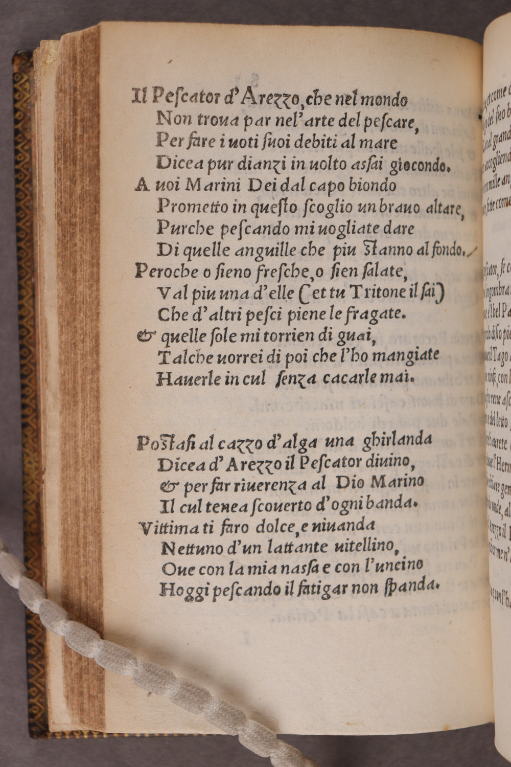 Folio 81 verso